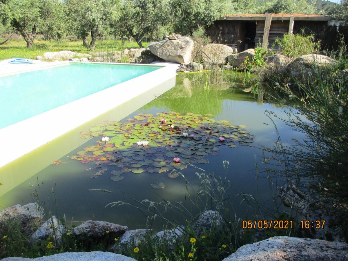 Monte Das Mariolas Castelo de Vide Εξωτερικό φωτογραφία
